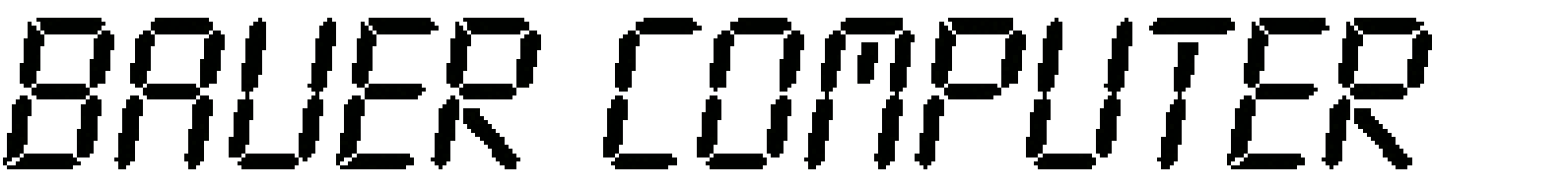 Logo BAUER COMPUTER